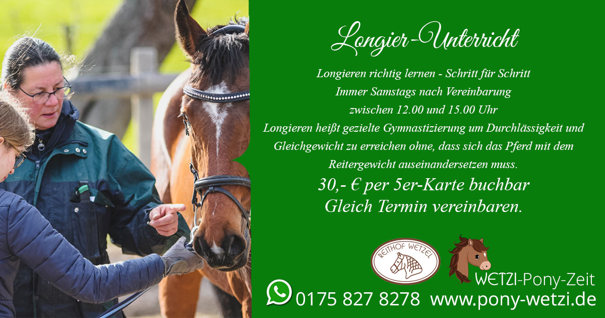 Reithof-wetzel-Longieren-richtig-lernen