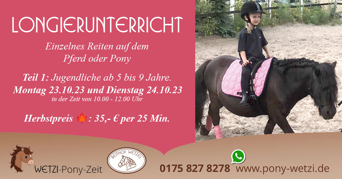 T1-Reithof-wetzel-longierunterricht