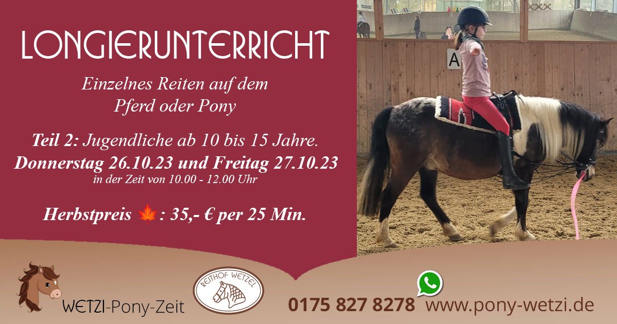 T2-Reithof-wetzel-longierunterricht